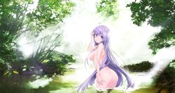 1girl ass bb_(fate) breasts commentary_request completely_nude fate/extra fate/extra_ccc fate_(series) hand_in_own_hair highres kawagishi_keitarou large_breasts light_censor long_hair no_hair_ornament nude purple_eyes purple_hair solo tree very_long_hair wading wetland
