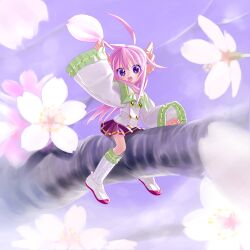 1girl axiacid cherry_blossoms collared_shirt commentary_request full_body hair_ears hair_flaps hair_ornament highres holding holding_petal long_hair long_pointy_ears long_sidelocks long_sleeves looking_at_viewer mini_person minigirl open_mouth original petals pink_hair pleated_skirt pointy_ears purple_eyes purple_skirt ribbon-trimmed_socks ribbon_trim shirt shoes sidelocks sitting sitting_on_branch skirt sleeves_past_wrists smile socks solo star_(symbol) star_hair_ornament star_in_eye suzuka_sutera_(axiacid) symbol_in_eye very_long_hair white_shirt white_shoes white_socks wide_sleeves