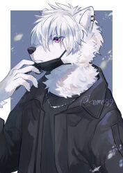 1boy aizawa_(nh_st) black_jacket black_shirt blue_background body_fur claws commentary_request ear_piercing furry furry_male highres jacket jewelry looking_to_the_side male_focus mask mask_pull mouth_mask necklace original piercing purple_eyes shirt short_hair solo surgical_mask upper_body white_fur white_hair wolf_boy
