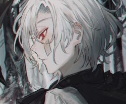 1boy bandaid bandaid_on_cheek bandaid_on_face bird black_bird black_cape cape closed_mouth commentary_request forest from_side light_particles looking_at_animal male_focus nature original outdoors portrait red_eyes short_hair solo sparkle st31010 white_hair