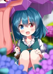 1girl :d aqua_vest blue_eyes blue_hair blurry blurry_background blurry_foreground blush collarbone commentary depth_of_field eyes_visible_through_hair flower frilled_shirt frills hair_between_eyes hand_on_own_knee heterochromia highres holding holding_umbrella hydrangea karakasa_obake long_sleeves looking_at_viewer open_mouth outdoors pink_flower purple_flower rain red_eyes ruu_(tksymkw) shirt short_hair smile solo split_mouth squatting tatara_kogasa tongue touhou umbrella vest white_shirt