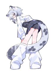 Rule 34 | 1girl, animal ear fluff, between legs, bike shorts, bike shorts under skirt, black skirt, colored tips, from behind, full body, grey hair, grey tail, hand on own hip, hand on own leg, high-waist skirt, highres, leaning forward, leg warmers, long sleeves, medium hair, multicolored hair, original, pleated skirt, sailor collar, shirt, shoes, short shorts, shorts, simple background, skirt, snow leopard ears, snow leopard girl, snow leopard tail, solo, spotted tail, tail, tail between legs, uenomigi, white background, white leg warmers, white sailor collar, white shirt, white shoes, white shorts