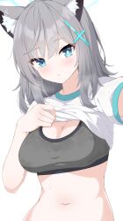 1girl absurdres animal_ear_fluff animal_ears blue_archive blue_eyes blue_halo blush breasts cleavage cross_hair_ornament enru grey_hair grey_sports_bra hair_between_eyes hair_ornament halo highres large_breasts looking_at_viewer medium_hair mismatched_pupils navel open_mouth shiroko_(blue_archive) shirt short_sleeves simple_background solo sports_bra sweat upper_body white_background white_shirt wolf_ears