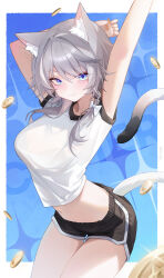 Rule 34 | 1girl, alternate costume, animal ears, arms behind head, arms up, black shorts, blue eyes, bow, bra visible through clothes, braid, breasts, cat ears, cat girl, cat tail, cipher (honkai: star rail), closed mouth, clothing cutout, coin, crop top, dolphin shorts, fang, grey hair, hair bow, highres, honkai: star rail, honkai (series), long hair, looking at viewer, medium breasts, midriff, navel, s0104y, see-through cleavage, see-through clothes, shirt, short shorts, shorts, smile, solo, stomach, tail, tail raised, tail through clothes, thighs, white shirt