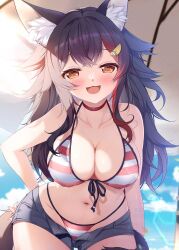 Rule 34 | 1girl, animal ear fluff, animal ears, bare shoulders, bikini, black hair, blush, breasts, choker, cleavage, denim, denim shorts, hair between eyes, hair ornament, hairclip, highres, hololive, large breasts, long hair, looking at viewer, mikeou, multicolored hair, ookami mio, open mouth, red bikini, red hair, shorts, smile, solo, streaked hair, striped bikini, striped clothes, swimsuit, tail, umbrella, virtual youtuber, white bikini, wolf ears, wolf girl, wolf tail, yellow eyes