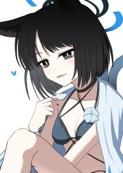 1girl absurdres amtkmituki animal_ears bikini black_eyes blue_archive blue_halo cat_ears cat_girl criss-cross_halter criss-cross_straps halo halterneck highres kikyou_(blue_archive) kikyou_(swimsuit)_(blue_archive) layered_bikini official_alternate_costume simple_background smile solo swimsuit white_background