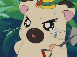animated animated_gif bijou_(hamtaro) blush boss_(hamtaro) hamster hamtaro hamtaro_(hamtaro) hamtaro_(series) hat nervous shovel sweat talking whiskers