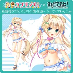 Rule 34 | 1girl, :d, absurdres, alternate costume, animal collar, animal ears, bare shoulders, bikini, blonde hair, blue bikini, blue bow, blunt bangs, blush, bow, bow bikini, breasts, character name, collar, collarbone, commentary request, cowboy shot, dog ears, dog girl, dog tail, floppy ears, frilled bikini, frills, full body, green bow, green eyes, hair bow, hair ornament, hairclip, hand up, happy, highres, holding, holding leash, kemonomimi mode, kin-iro loveriche, large breasts, leash, long hair, looking at viewer, low twintails, moribe (rabumanyo), multicolored bikini, multiple views, navel, official art, open mouth, parallel hairclips, pink scrunchie, plaid scrunchie, sandals, scrunchie, sidelocks, simple background, smile, standing, standing on one leg, stomach, straight hair, swimsuit, sylvia le cruzcrown sortilege sisua, tail, twintails, two-tone bikini, underboob, white background, white bikini, white scrunchie