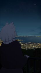 Rule 34 | 1girl, absurdres, against railing, alternate costume, animal ear fluff, animal ears, azur lane, black hoodie, black pants, casual, city, city lights, cityscape, closed eyes, commentary, dog ears, dog girl, english commentary, from behind, highres, hood, hood down, hoodie, japan, jewelry, kobe, long sleeves, maya (azur lane), mountainous horizon, name connection, night, night sky, ocean, outdoors, pants, railing, real world location, ring, saiskh, scarf, short hair, sky, star (sky), tree, water, wedding ring, white scarf