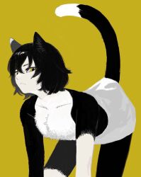 1girl all_fours animal_ear_fluff animal_ears black_fur black_hair body_fur cat_ears cat_girl cat_tail closed_mouth commentary_request dungeon_meshi frs2 hair_between_eyes highres izutsumi korean_commentary limited_palette looking_at_viewer multicolored_fur short_hair simple_background solo tail topless_female yellow_background yellow_eyes