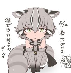 Rule 34 | 1girl, animal ears, animal print, back bow, bare shoulders, belt bow, blush, bokoboko (pandagapanda1), bow, bowtie, cat ears, cat girl, cat print, cat tail, ear tufts, elbow gloves, extra ears, gloves, gradient gloves, green eyes, grey bow, grey bowtie, grey hair, japanese clothes, kemono friends, kemono friends 3, kimono, multicolored hair, plaid clothes, plaid sleeves, plaid trim, polka dot, polka dot gloves, polka dot kimono, print bow, print bowtie, print gloves, print skirt, short hair, skirt, sleeveless, sleeveless kimono, solo, tail, thighhighs, tsushima leopard cat (kemono friends)
