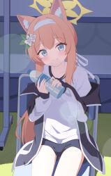1girl absurdres animal_ear_fluff animal_ears blue_archive blue_buruma blue_eyes bottle buruma chair closed_mouth commentary_request flower fox_ears fox_girl gym_uniform hair_flower hair_ornament hairband halo highres holding holding_bottle jacket long_hair looking_at_viewer mari_(blue_archive) mari_(track)_(blue_archive) open_clothes open_jacket orange_hair sitting solo track_jacket ula_cabbage white_hairband yellow_halo