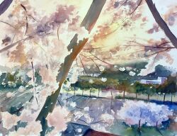 branch building cherry_blossoms day didi_daisukedoi from_above highres morning no_humans original painting_(medium) park scenery shadow sunlight sunrise traditional_media tree watercolor_(medium)
