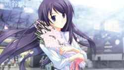 1girl 3d_background aoi_sena blouse blurry blurry_background bokeh bouquet brown_sash casual chaos;head chaos;head_love_chu_chu! cherry_blossoms city day depth_of_field falling_leaves fingernails floating_hair flower flower_request frilled_sleeves frills game_cg holding holding_bouquet leaf long_hair long_sidelocks long_sleeves looking_at_viewer matsuo_yukihiro non-web_source official_art outdoors pink_ribbon purple_eyes ribbon sash shibuya_(tokyo) shiny_eyes shirt sidelocks smile standing sunlight tokyo_(city) waist_sash white_shirt