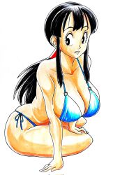 Rule 34 | 1girl, area5169458561, arm support, bikini, black eyes, black hair, blue bikini, breasts, chi-chi (dragon ball), cleavage, collarbone, dragon ball, dragonball z, highres, large breasts, long hair, looking to the side, ponytail, side-tie bikini bottom, smile, solo, string bikini, swimsuit, traditional media, white background