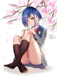 1girl 2018 black_socks blue_hair cherry_blossoms darling_in_the_franxx dated female_focus flower full_body green_eyes grey_skirt hair_ornament hairclip hands_on_own_knees ichigo_(darling_in_the_franxx) jacket kevn kneehighs long_sleeves looking_at_viewer military_jacket miniskirt panties pantyshot pink_flower short_hair signature sitting skirt socks solo underwear white_background white_panties