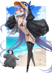 Rule 34 | 1girl, absurdres, animal hood, baby animal, bare shoulders, beach, bikini, bird, black bikini, black jacket, blue bow, blue eyes, blush, bow, breasts, choker, collarbone, eating, fate/grand order, fate (series), food, full body, highres, hood, hood up, jacket, long hair, long sleeves, looking at viewer, meltryllis, meltryllis (fate), meltryllis (swimsuit lancer) (fate), meltryllis (swimsuit lancer) (first ascension) (fate), navel, open clothes, open jacket, penguin, penguin chick, penguin hood, popsicle, prosthesis, prosthetic leg, purple hair, shore, sleeves past fingers, sleeves past wrists, small breasts, solo, sterben, swimsuit, very long hair
