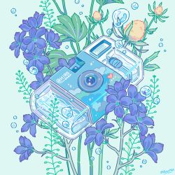 aqua_background blue_flower bubble bud camera commentary_request fern flower heart highres hiro046k no_humans object_focus original signature simple_background water