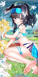 Rule 34 | 1girl, absurdres, aiu ., animal ears, barefoot, black hair, blue archive, blue eyes, breasts, cheerleader, commentary request, dog ears, dog girl, dog tail, extra ears, eyewear on head, feet, full body, halo, hibiki (blue archive), hibiki (cheer squad) (blue archive), highres, holding, holding pom poms, lying, medium breasts, miniskirt, official alternate costume, on grass, on side, open mouth, pleated skirt, pom pom (cheerleading), pom poms, revision, shoes, short hair, side slit, skirt, sneakers, soles, solo, sports bra, tail, toes, unworn shoes, white shoes, yellow halo