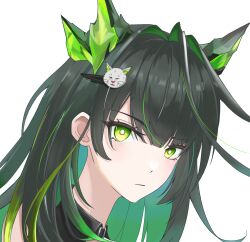 1girl ahoge arknights black_hair bright_pupils cat_hair_ornament chinese_commentary closed_mouth commentary_request expressionless green_eyes green_hair hair_intakes hair_ornament hairclip highres huge_ahoge long_hair looking_at_viewer lu_su_ie mon3tr_(arknights) multicolored_hair portrait simple_background solo two-tone_hair white_background white_pupils