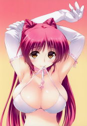 Rule 34 | 1girl, absurdres, amazuyu tatsuki, armpits, arms behind head, arms up, bikini, blush, breasts, brown eyes, cleavage, elbow gloves, female focus, gloves, gradient background, highres, holding, kousaka tamaki, large breasts, long hair, looking at viewer, mouth hold, official art, red hair, scan, shiny skin, simple background, solo, swimsuit, to heart (series), to heart 2, upper body, white gloves