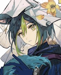 1boy animal_ear_fluff animal_ears black_hair blue_gloves blunt_ends commentary earrings fox_boy fox_ears fox_tail genshin_impact gloves green_eyes green_hair green_tail hair_between_eyes highres holding_tail hood hoodie jewelry looking_at_viewer male_focus multicolored_hair netsus3 rain short_hair single_earring solo streaked_hair tail tighnari_(genshin_impact) umbrella upper_body
