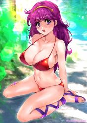1girl athena_(series) bikini breasts cleavage feet highres large_breasts legs long_hair looking_at_viewer navel open_mouth oyaman princess princess_athena purple_eyes purple_hair red_bikini sitting smile snk solo swimsuit thighs