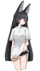 1girl absurdres animal_ear_fluff animal_ears black_hair black_shorts blunt_bangs closed_mouth cowboy_shot fox_ears fox_girl highres hoduttang hoshimi_miyabi light_blush long_hair looking_at_viewer red_eyes shirt short_shorts short_sleeves shorts sidelocks solo standing white_shirt zenless_zone_zero