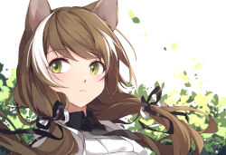 1girl animal_ears arknights black_necktie black_ribbon blush brown_hair chinese_commentary closed_mouth commentary green_eyes hair_ribbon honeyberry_(arknights) leaf long_hair looking_to_the_side multicolored_hair necktie portrait ribbon short_necktie sideways_glance solo streaked_hair white_hair white_ribbon wind xia_bao_(wulalala)