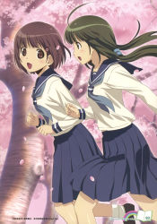 2girls absurdres ahoge bob_cut brown_eyes brown_hair cherry_blossoms hair_ornament hairclip highres kikusaka_kochou koutaro long_hair multiple_girls petals running school_uniform serafuku short_hair suzukawa_koume taishou_yakyuu_musume