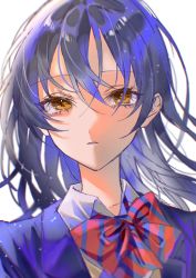 1girl absurdres blue_hair brown_eyes highres looking_at_viewer love_live! otonokizaka_school_uniform portrait rococomm123 school_uniform simple_background solo sonoda_umi upper_body white_background