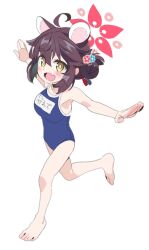 1girl :d ahoge animal_ears barefoot blue_archive blue_one-piece_swimsuit breasts bright_pupils brown_hair highres kaede_(blue_archive) large_breasts looking_at_viewer one-piece_swimsuit open_mouth oppai_loli outstretched_arms saeki_tatsuya school_swimsuit short_hair simple_background smile solo swimsuit toes white_background white_pupils yellow_eyes