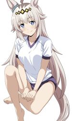 1girl ahoge animal_ears bare_legs barefoot blue_eyes blush bow breasts buruma ear_ribbon grey_hair gym_shirt gym_uniform hair_ornament highres horse_ears horse_girl horse_tail kasamatsu_tracen_training_uniform long_hair looking_at_viewer multicolored_hair oguri_cap_(umamusume) ponzu_rui purple_buruma shirt simple_background sitting smile solo streaked_hair t-shirt tail toenails umamusume umamusume:_cinderella_gray white_background white_hair