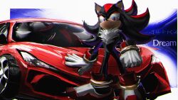 1boy black_eyes black_fur body_fur car full_body furry highres looking_at_viewer male_focus missing_commentary motor_vehicle multicolored_fur red_car red_fur shadow_the_hedgehog solo sonic_(series) standing venommoe white_fur