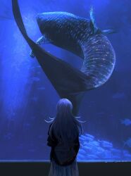1boy aquarium blue_theme fish from_behind highres hoshirube_sho j14o7 long_hair male_focus nijisanji purple_hair solo twitter_username virtual_youtuber whale