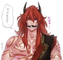 Rule 34 | 1boy, abs, ball gag, drooling, fangs, gag, heterochromia, horns, long hair, looking at viewer, male focus, muscular, musou orochi, musou orochi 2, pectorals, pov, purple eyes, red hair, saliva, shuten doji, tattoo, translation request, yellow eyes