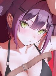 Rule 34 | 1girl, bare shoulders, black bra, blush, bra, breasts, cleavage, closed mouth, ear piercing, green eyes, hololive, large breasts, long hair, piercing, purple hair, sharc, solo, tokoyami towa, twintails, underwear, upper body, virtual youtuber