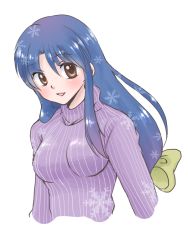 Rule 34 | blue hair, brown eyes, hanamutsuki, long hair, ranma 1/2, tendou akane, turtleneck