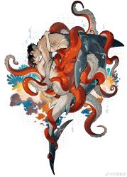 2boys absurdres bara completely_nude fins forehead-to-forehead full_body gills head_fins heads_together highres interspecies juanmao male_focus merman monster_boy multiple_boys muscular muscular_male nude ocotpus_boy original scar scar_on_stomach shark_boy short_hair skinny smile tagme tentacles tentacles_on_male toned toned_male white_background yaoi