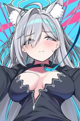 Rule 34 | 1girl, @ @, absurdres, ahoge, animal ear fluff, animal ears, aqua eyes, black choker, black dress, black halo, blue archive, blue background, blush, breasts, breasts apart, choker, closed mouth, collarbone, commentary, cross hair ornament, dress, embarrassed, extra ears, eyes visible through hair, frown, furrowed brow, grey hair, hair behind ear, hair between eyes, hair intakes, hair ornament, halo, highres, huge ahoge, incoming hug, large breasts, leash, long hair, long sleeves, looking to the side, nojikorirakkusu, shiroko (blue archive), shiroko terror (blue archive), simple background, solo, split mouth, straight-on, straight hair, sweatdrop, upper body, very long hair, wolf ears, wolf girl