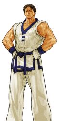 1boy absurdres capcom_vs_snk_2 closed_eyes closed_mouth dobok fatal_fury game_cg gloves hands_on_own_hips highres kim_dong_hwan male_focus muscular nishimura_kinu non-web_source official_art snk solo taekwondo veins veiny_arms