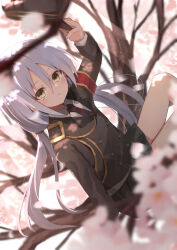 Rule 34 | 1girl, absurdres, araragi (sakura no kumo scarlet no koi), armband, black hat, black jacket, black necktie, black skirt, blurry, branch, buttons, cherry blossoms, collared shirt, commentary, dappled sunlight, depth of field, double-breasted, dutch angle, feet out of frame, floating hair, grey hair, hair between eyes, hat, highres, holding, holding unworn clothes, holding unworn hat, jacket, long hair, long sleeves, looking at viewer, low twintails, miniskirt, necktie, nodoameyatou, on branch, parted lips, pleated skirt, red armband, sakura no kumo scarlet no koi, shirt, sitting, skirt, solo, sunlight, tree, twintails, unworn hat, unworn headwear, white shirt, yellow eyes