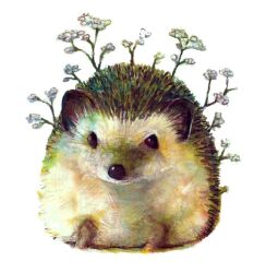 Rule 34 | amano sizuku, animal, animal focus, branch, commentary request, flower, hedgehog, marker (medium), no humans, original, simple background, traditional media, white background, white flower