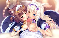 10s 1boy 2girls :&lt; animal_ear_fluff animal_ears asymmetrical_paizuri azuki_(nekopara) bell blonde_hair blue_eyes blush bow breast_hold breasts breasts_out brown_eyes brown_hair cat_ears cat_girl cat_tail coconut_(nekopara) collar cooperative_paizuri cum decensored embarrassed ffm_threesome game_cg group_sex half-closed_eyes hetero heterochromia indoors long_hair maid maid_headdress medium_breasts multiple_girls naizuri neck_bell neko_works nekopara nipples paizuri parted_lips penis purple_bow ribbon saliva sayori_(neko_works) short_hair short_twintails slit_pupils small_breasts striped_tail tail teamwork_(sexual) third-party_edit threesome twintails uncensored yellow_bow yellow_eyes