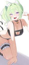 1girl absurdres alternate_costume animal_ear_fluff animal_ears bare_arms bare_shoulders bell black_bra black_choker black_panties black_shoes bra breasts cat_cutout cat_ears cat_lingerie cat_tail choker cleavage cleavage_cutout clothing_cutout collarbone commentary_request fang g_godocbaek green_hair hand_up highres jingle_bell korean_commentary long_hair looking_at_viewer medium_breasts meme_attire navel open_mouth panties paw_pose purple_eyes shoes side_ponytail simple_background smile solo stellive stomach string_bra string_panties tail thigh_strap thighs underwear virtual_youtuber white_background yuzuha_riko
