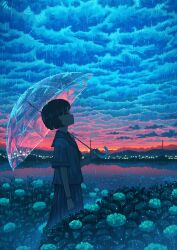1girl black_hair black_sailor_collar black_shirt blue_sky cloud cloudy_sky commentary_request evening flower highres horizon hydrangea landscape original outdoors pasoputi pond power_lines rain reflection reflective_water sailor_collar scenery school_uniform shirt short_hair short_sleeves sky solo standing sunset transparent transparent_umbrella umbrella white_shirt