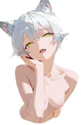 1girl animal_ears bare_shoulders breasts cat_ears cat_girl collarbone fangs hair_between_eyes head_tilt hectorrambito highres leaning_forward looking_at_viewer navel nipples nude open_mouth original puffy_nipples short_hair simple_background solo topless_female upper_body white_background white_hair yellow_eyes