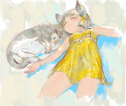 1girl :3 animal animal_ear_fluff animal_ears arm_out_of_frame armpits blue_eyes blunt_bangs blush breasts cat closed_eyes daible dress dromarch_(xenoblade) feet_out_of_frame from_above grey_fur grey_hair hair_ribbon heads_together highres looking_at_viewer nia_(xenoblade) outstretched_arms ribbon sidelocks simple_background sleeping sleeveless sleeveless_dress small_breasts tail xenoblade_chronicles_(series) yellow_dress