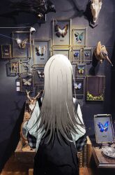 Rule 34 | 1girl, absurdres, animal skull, bird, blonde hair, bug, butterfly, framed insect, from behind, gakuen idolmaster, goma (gogo gowa), highres, idolmaster, indoors, insect, long hair, overalls, photo background, shinosawa hiro, shirt, solo, taxidermy, white shirt