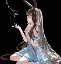 1girl ambience_synesthesia amiya_(ambience_synesthesia_2025)_(arknights) amiya_(arknights) animal_ears arknights bare_shoulders black_background blue_dress blue_eyes branch bridal_veil brown_hair closed_mouth crown dress hair_between_eyes highres jewelry light_smile long_hair looking_up multiple_rings profile ring see-through_clothes simple_background sitting solo veil very_long_hair ying_wu_wang_(yuan123)